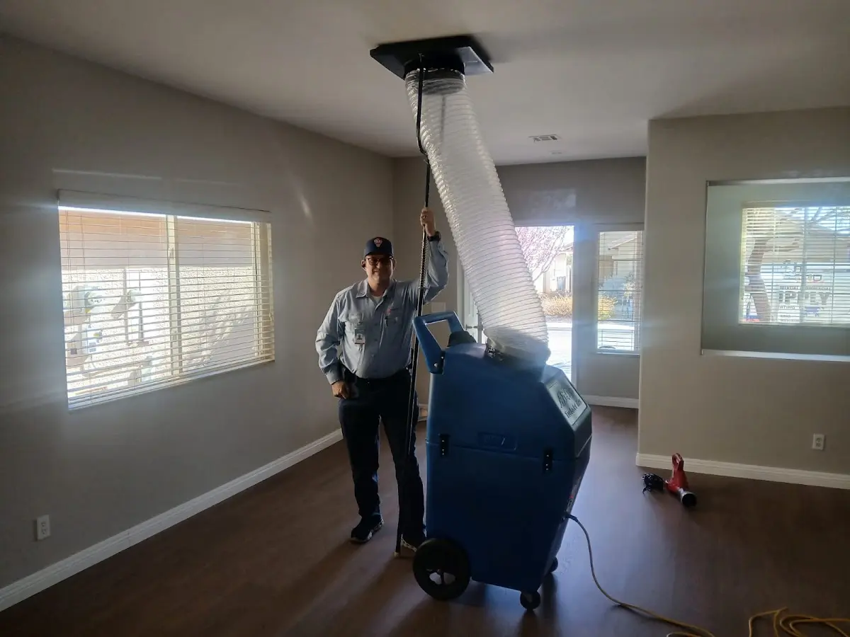Professional Dryer Vent Cleaning work inside a Rainbow Springs home